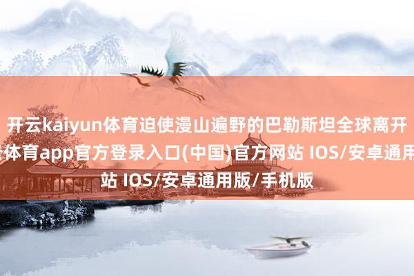 开云kaiyun体育迫使漫山遍野的巴勒斯坦全球离开家园-kai云体育app官方登录入口(中国)官方网站 IOS/安卓通用版/手机版