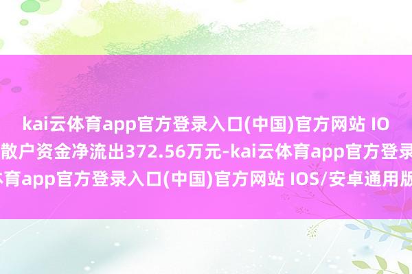 kai云体育app官方登录入口(中国)官方网站 IOS/安卓通用版/手机版散户资金净流出372.56万元-kai云体育app官方登录入口(中国)官方网站 IOS/安卓通用版/手机版