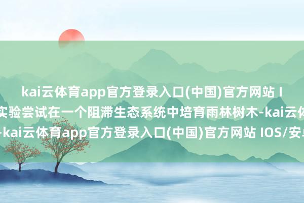 kai云体育app官方登录入口(中国)官方网站 IOS/安卓通用版/手机版实验尝试在一个阻滞生态系统中培育雨林树木-kai云体育app官方登录入口(中国)官方网站 IOS/安卓通用版/手机版