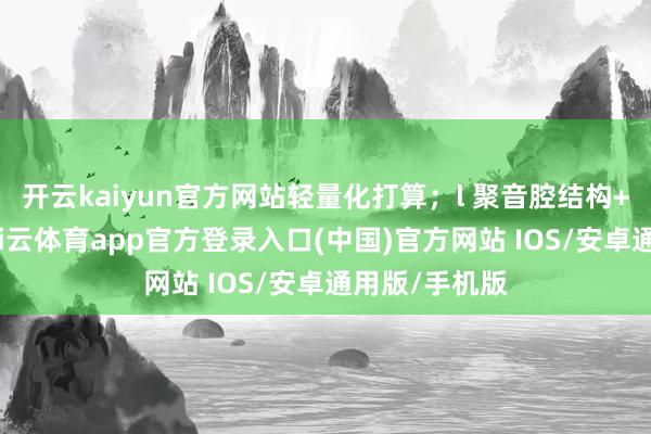 开云kaiyun官方网站轻量化打算；l 聚音腔结构+定向传音-kai云体育app官方登录入口(中国)官方网站 IOS/安卓通用版/手机版