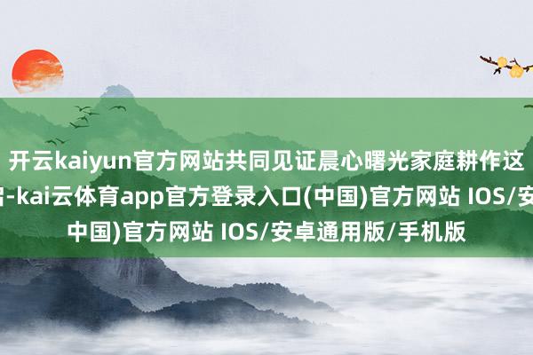 开云kaiyun官方网站共同见证晨心曙光家庭耕作这一蹙迫技巧的开启-kai云体育app官方登录入口(中国)官方网站 IOS/安卓通用版/手机版