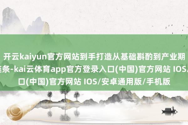 开云kaiyun官方网站到手打造从基础斟酌到产业期骗的完好意思翻新链条-kai云体育app官方登录入口(中国)官方网站 IOS/安卓通用版/手机版