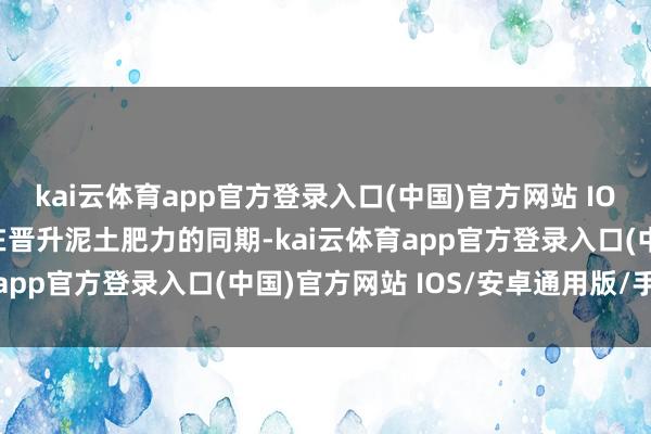 kai云体育app官方登录入口(中国)官方网站 IOS/安卓通用版/手机版在晋升泥土肥力的同期-kai云体育app官方登录入口(中国)官方网站 IOS/安卓通用版/手机版